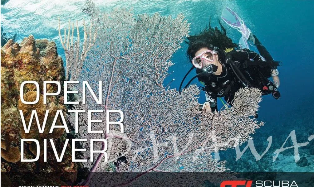 【News】生態系豊かなダバオ湾、その管理プロジェクトが注目される