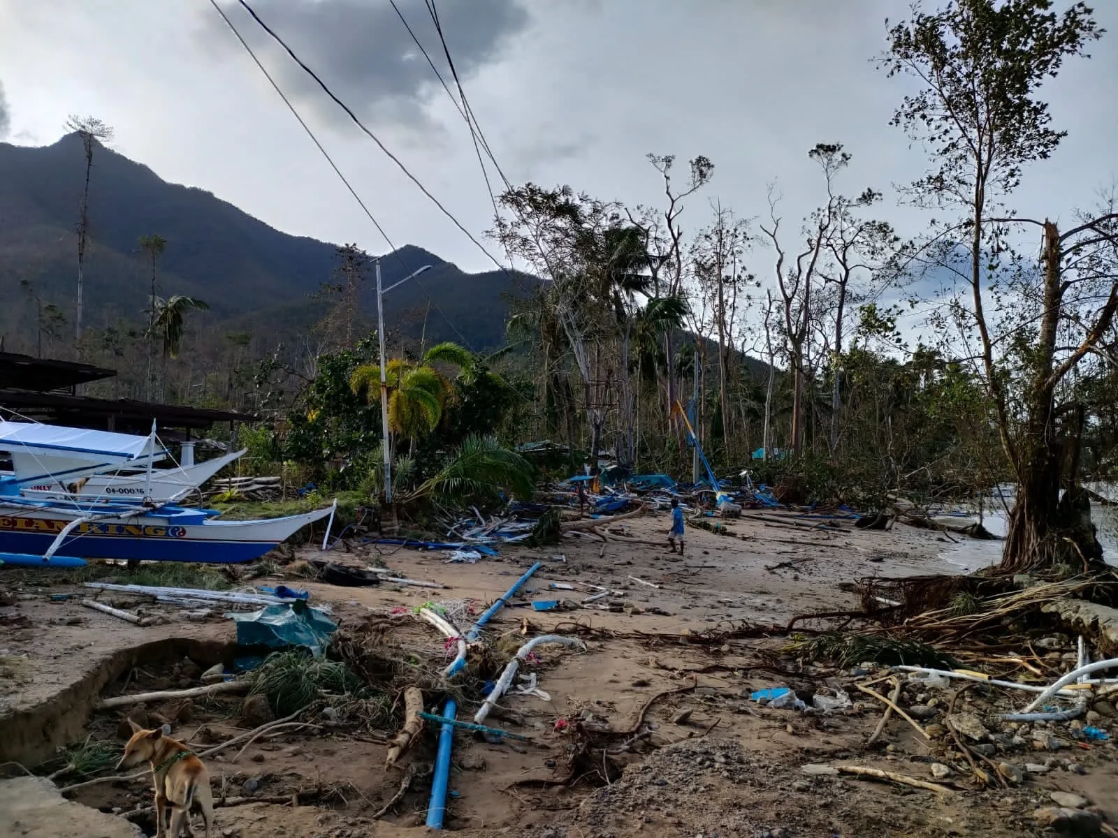 台風被災地:パラワン
