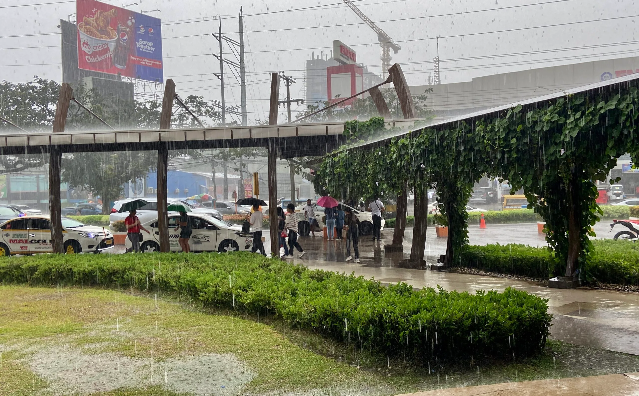 雨