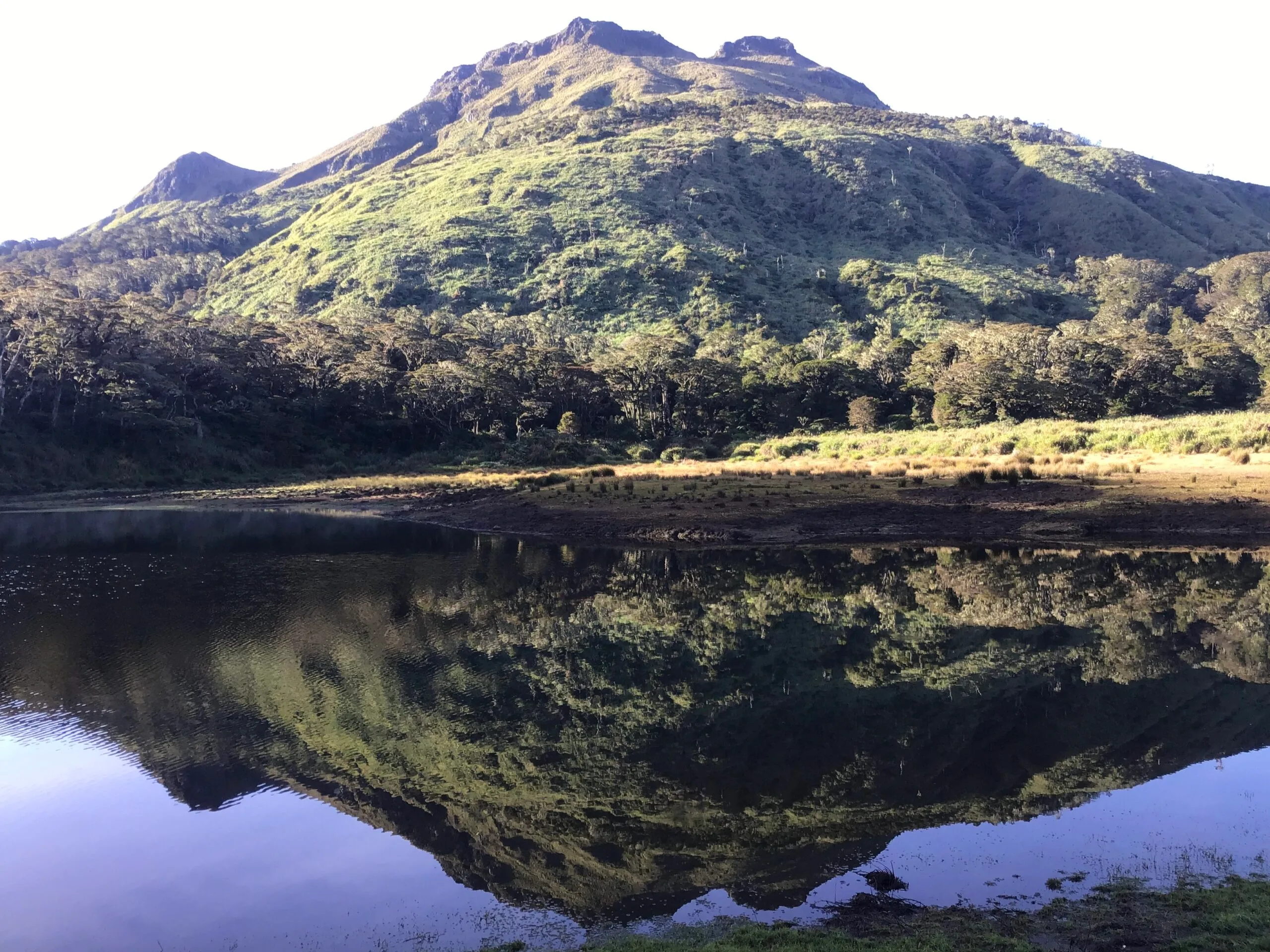 アポ山