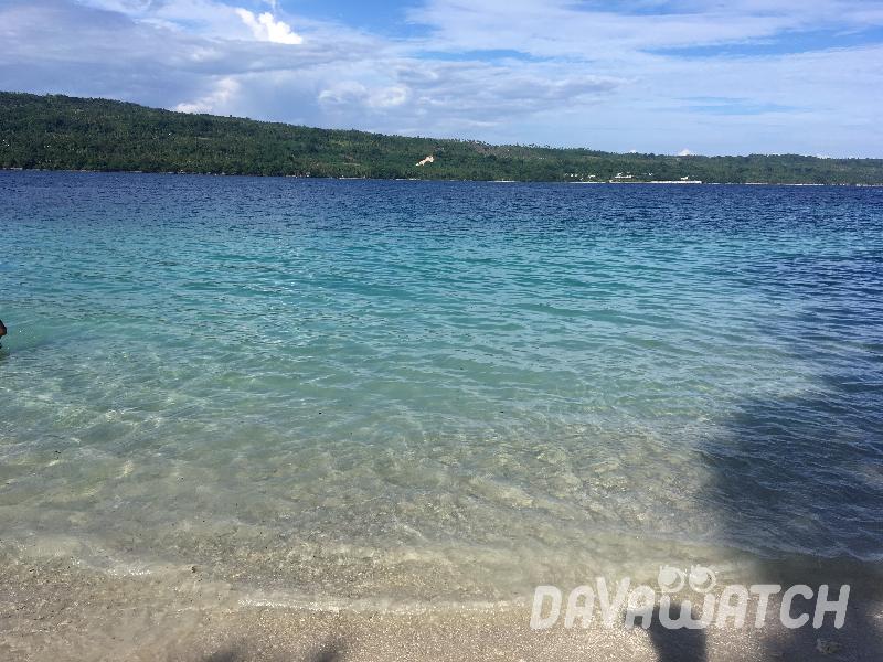 グログランリボン ダッフィたち ビーチ柄 海