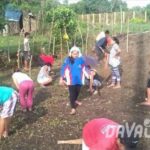 【News】台湾の投資家、ダバオ市の農業ベンチャーに興味を示す