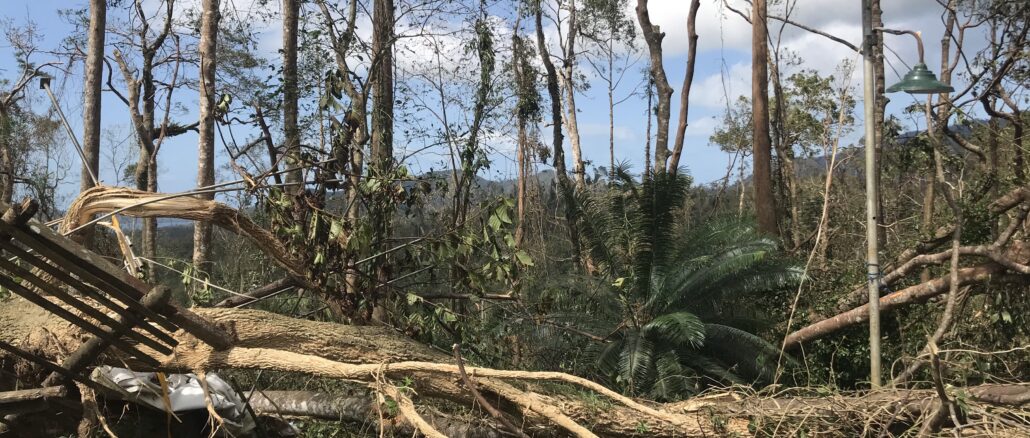 台風被災地：パラワン