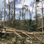 台風被災地：パラワン