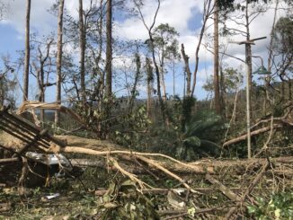 台風被災地：パラワン