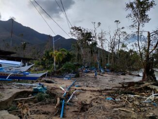 台風被災地：パラワン