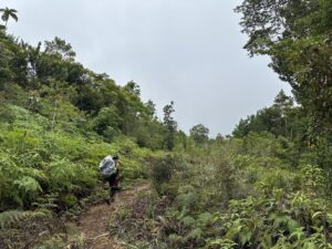 ハミギタン山