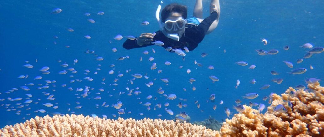 ダバオオリエンタルの海