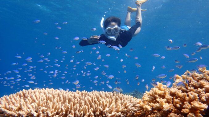 ダバオオリエンタルの海