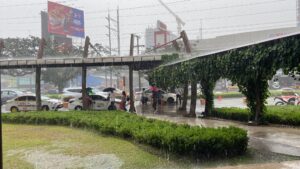 雨