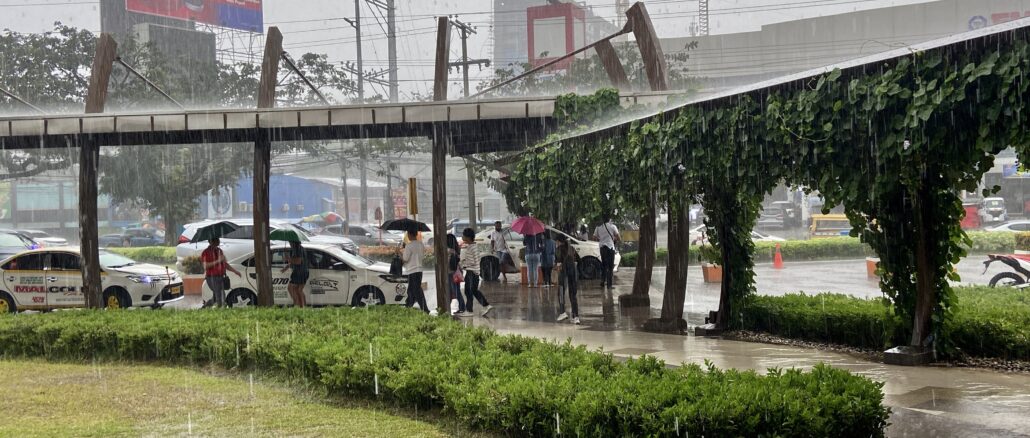雨