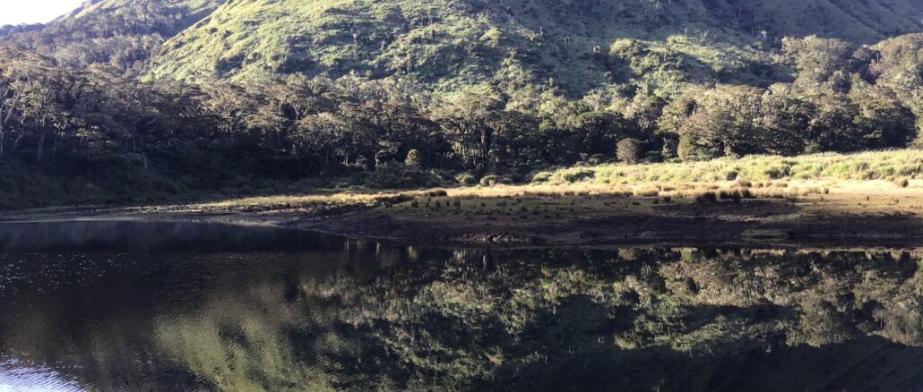 アポ山