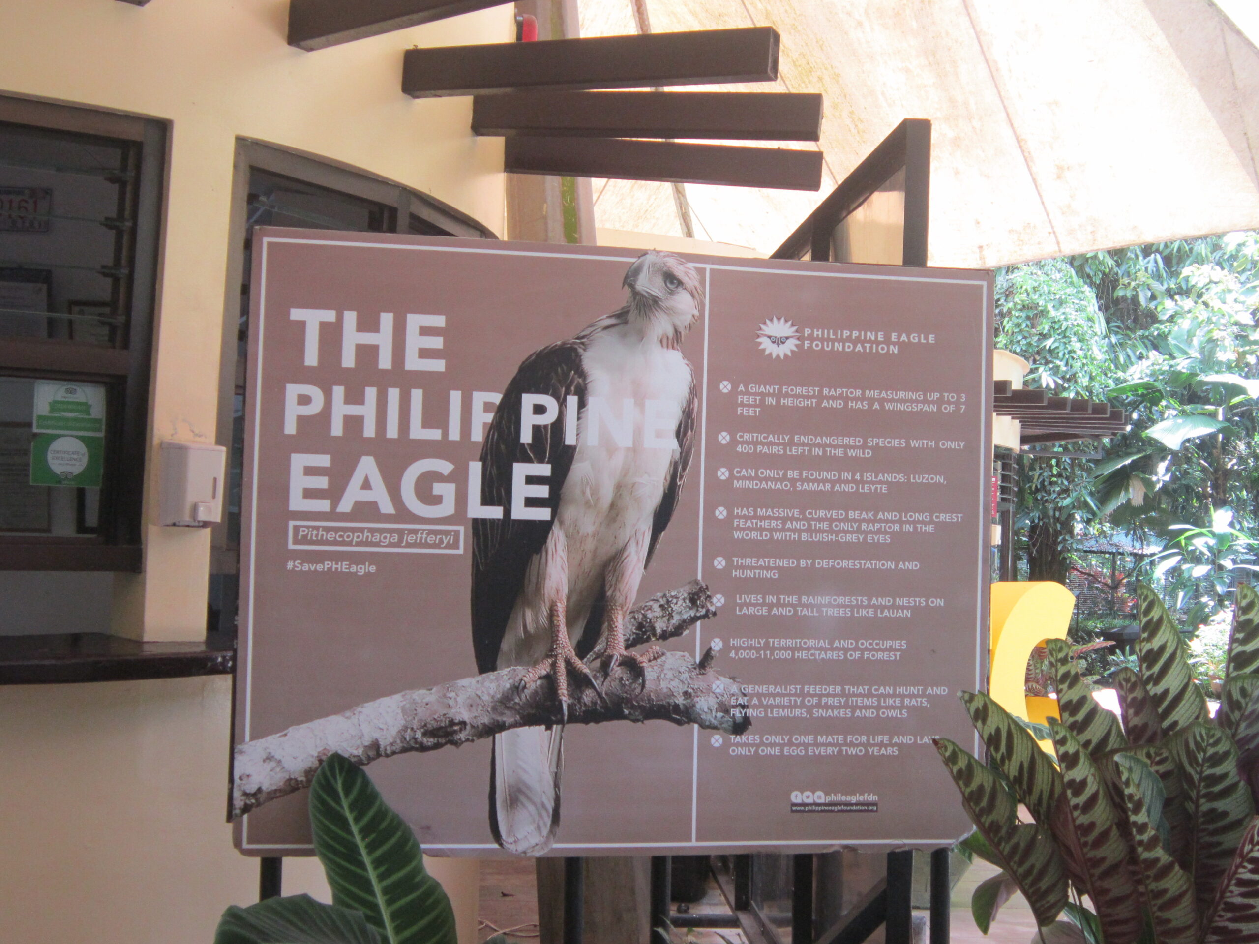 フィリピンイーグルセンター