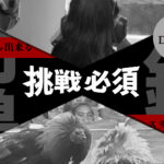 闘鶏・銃