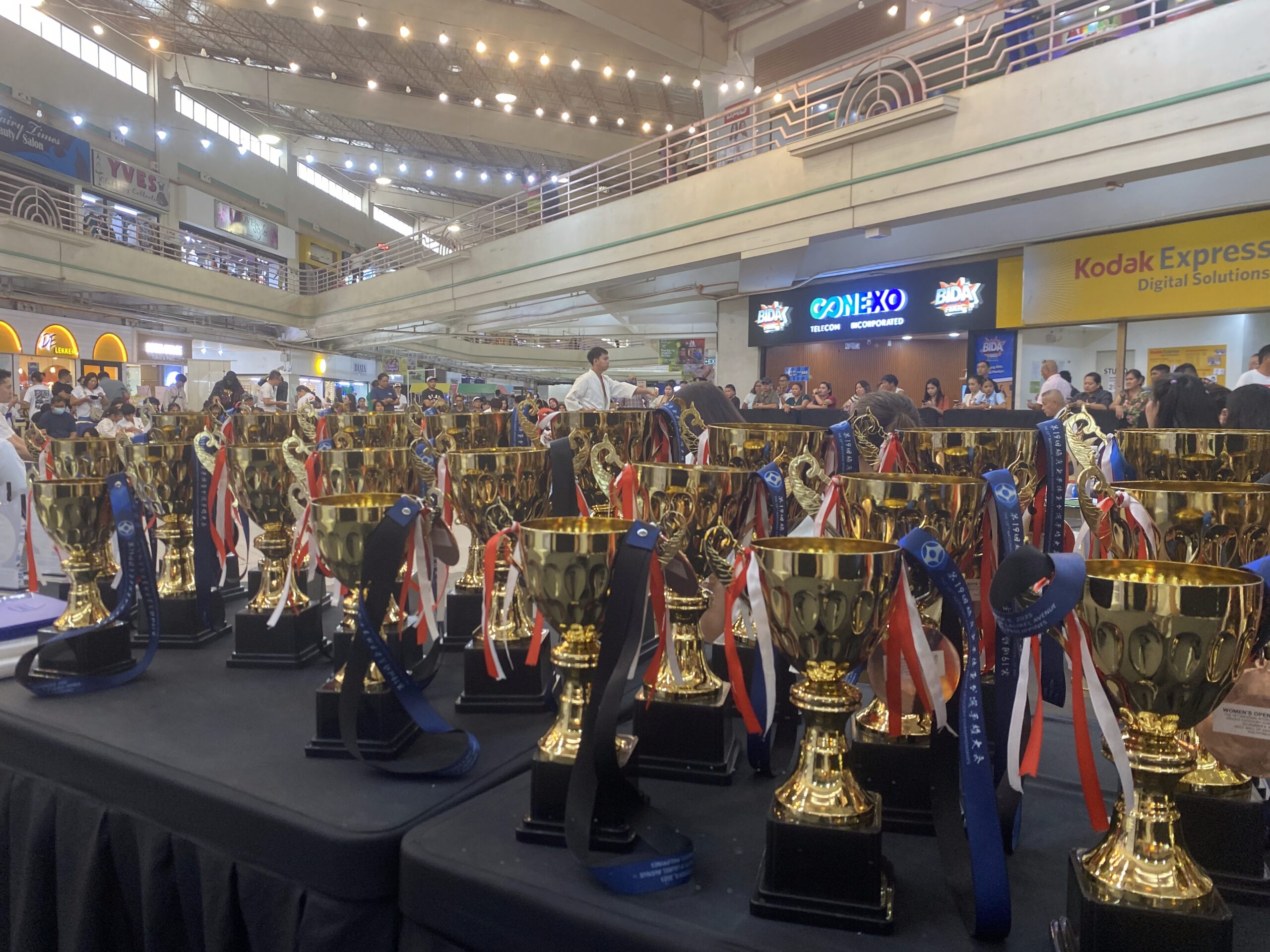 極真空手大会　トロフィー