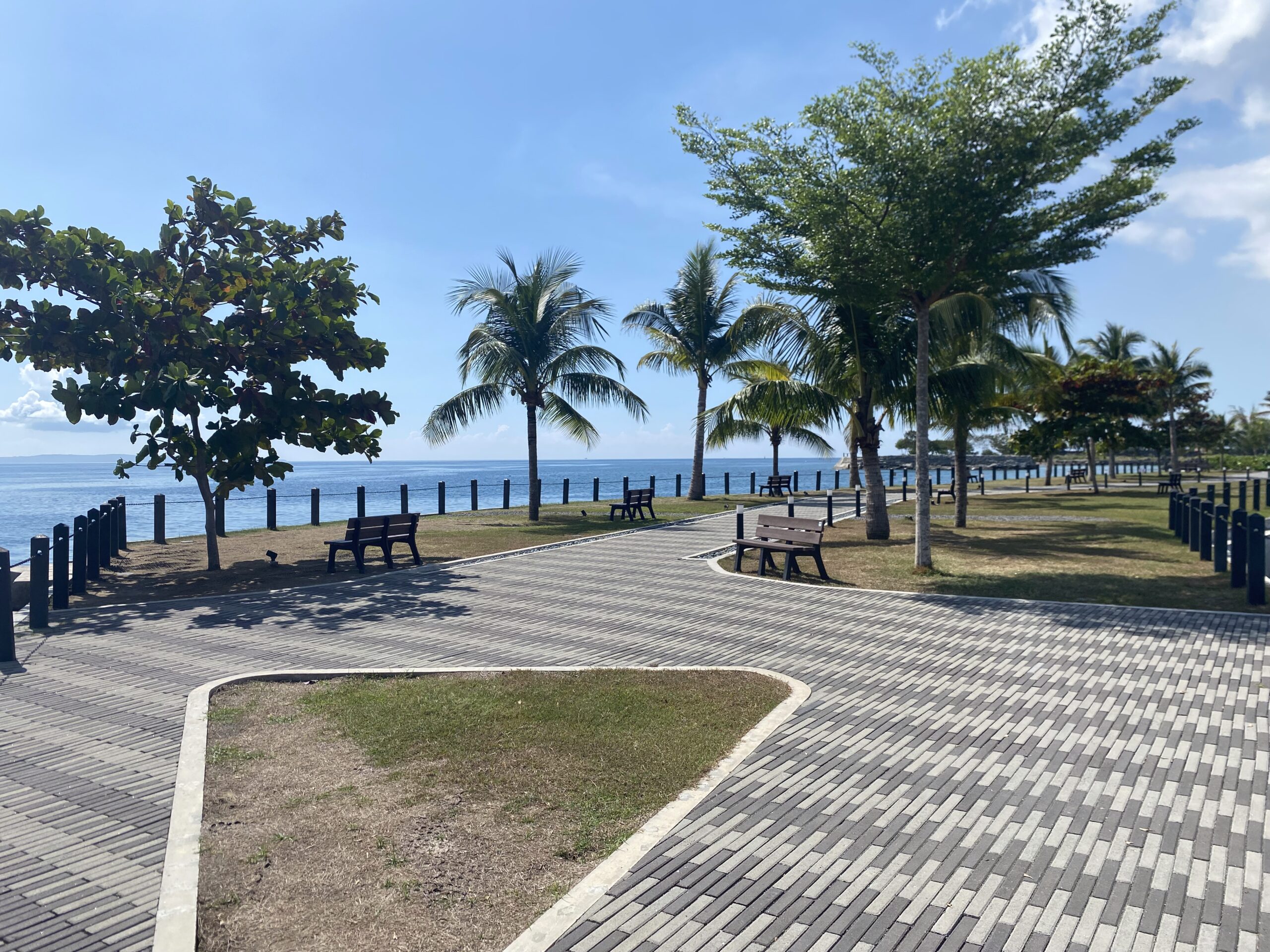 Azuela Park ランニングスポット