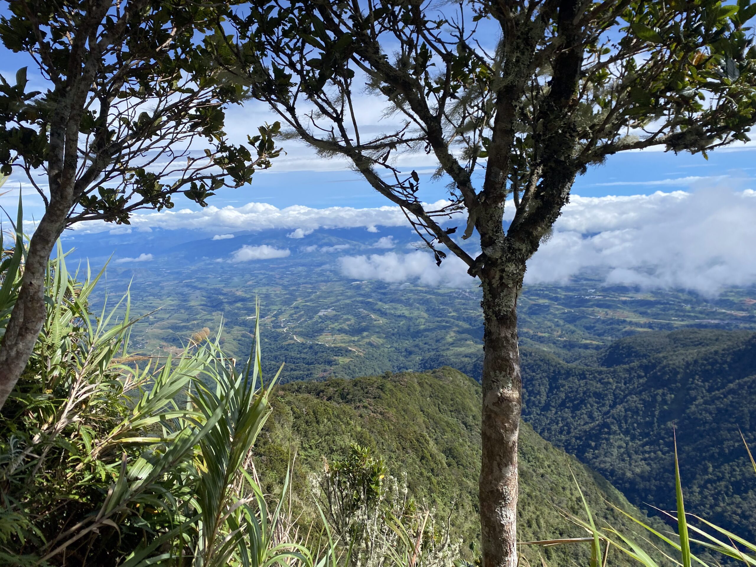 キタングラッド山　登山景色