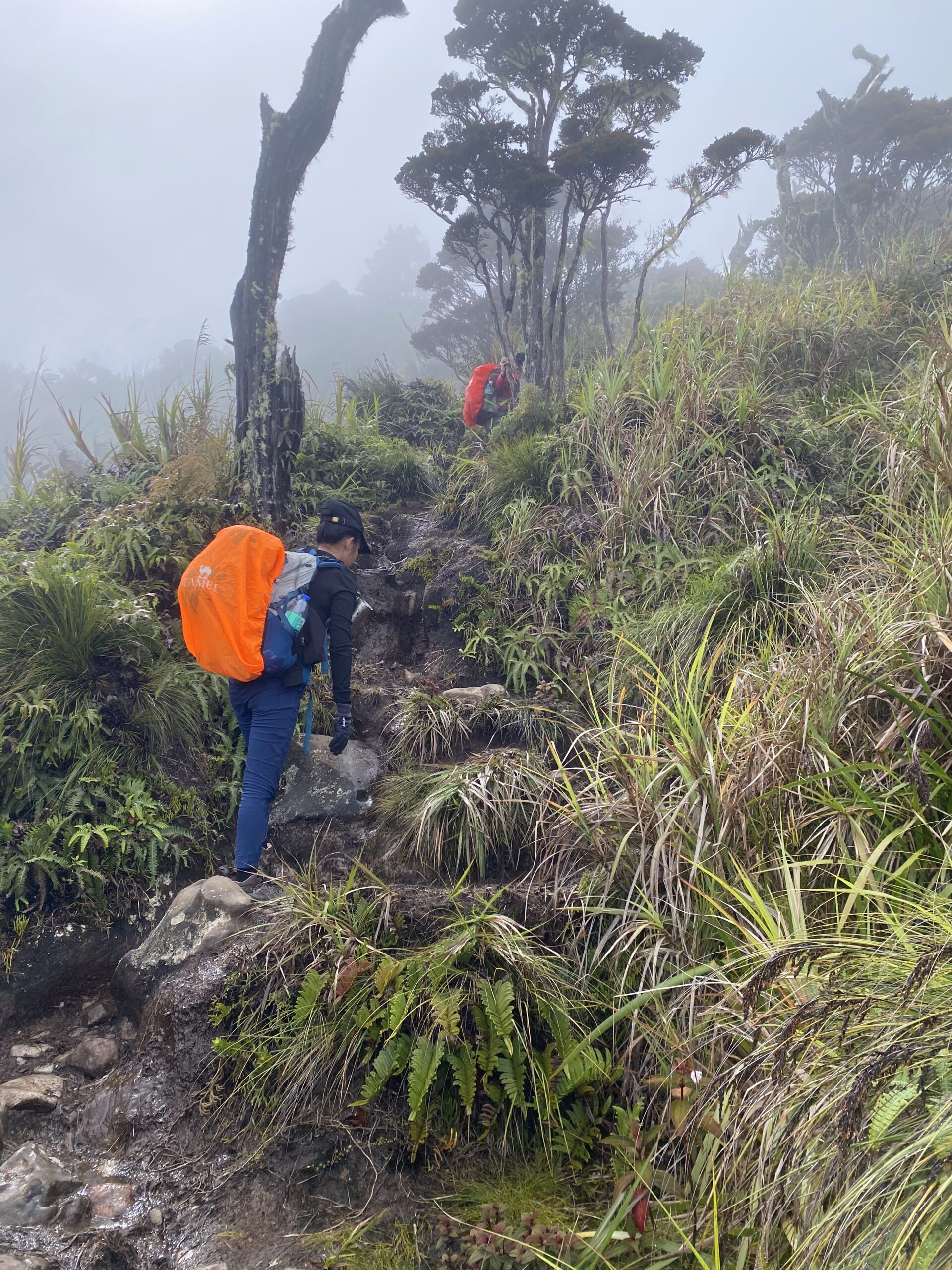 キタングラッド山　登山　景色