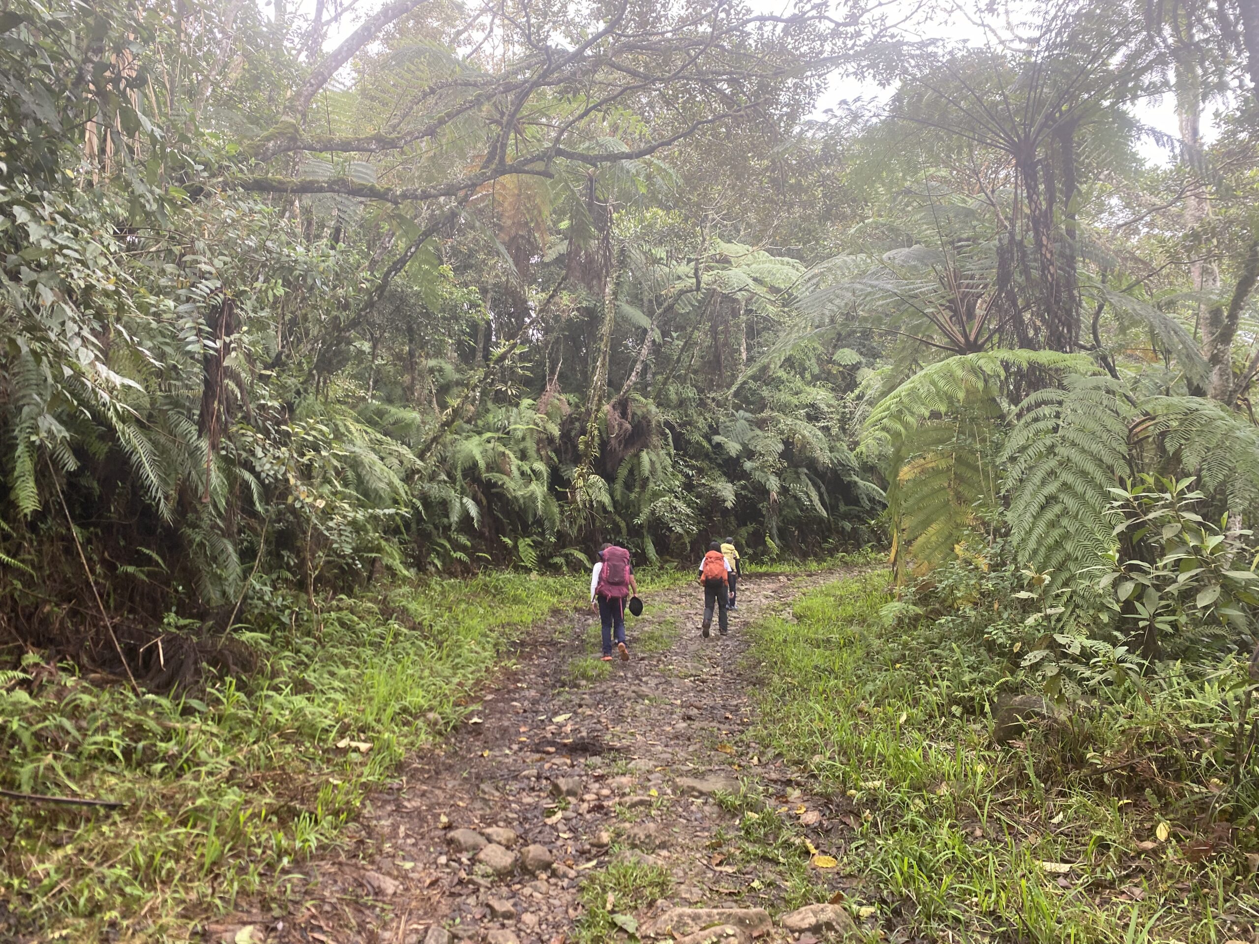 キタングラッド山　山道