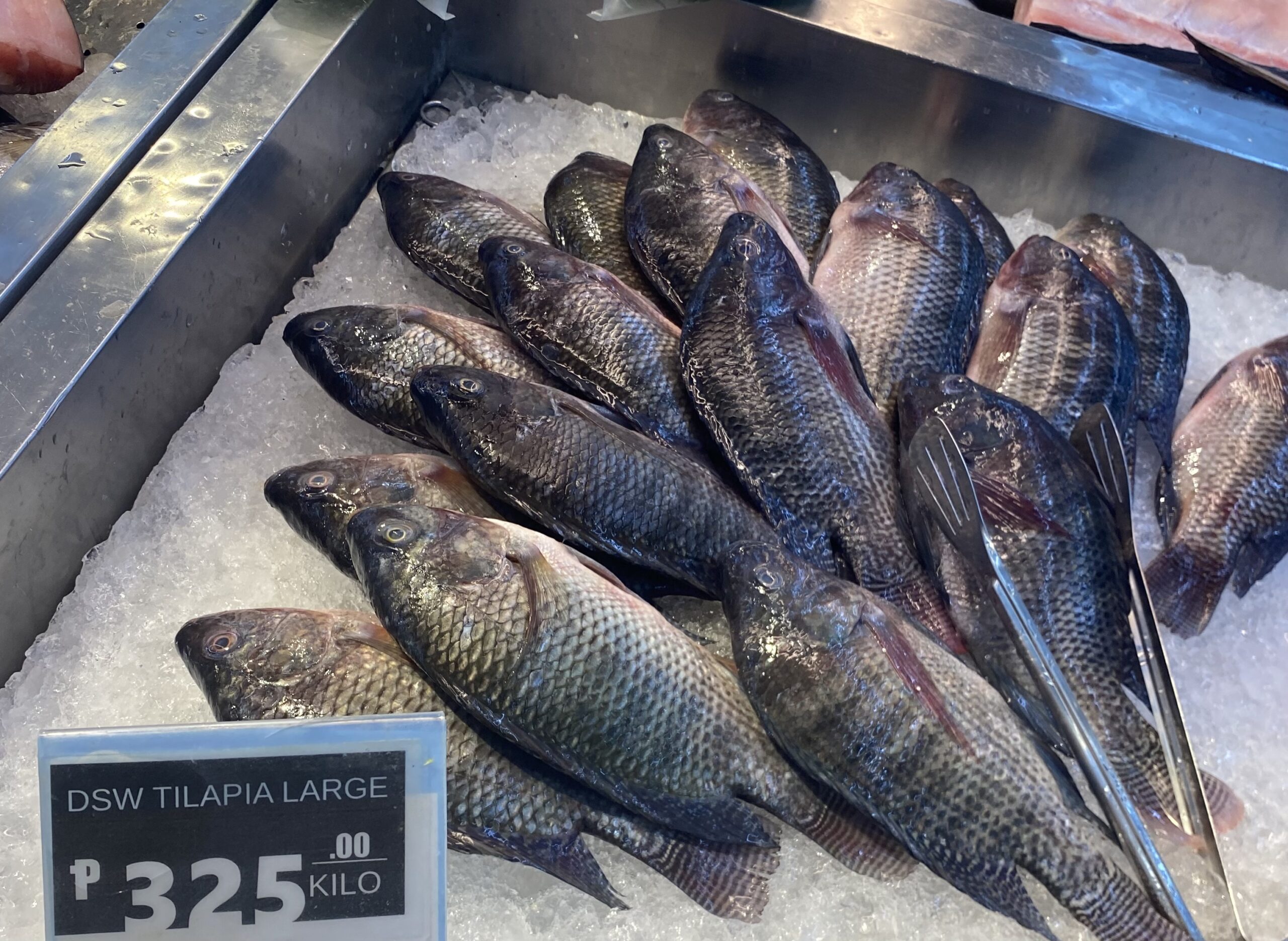 スーパー　ティラピア