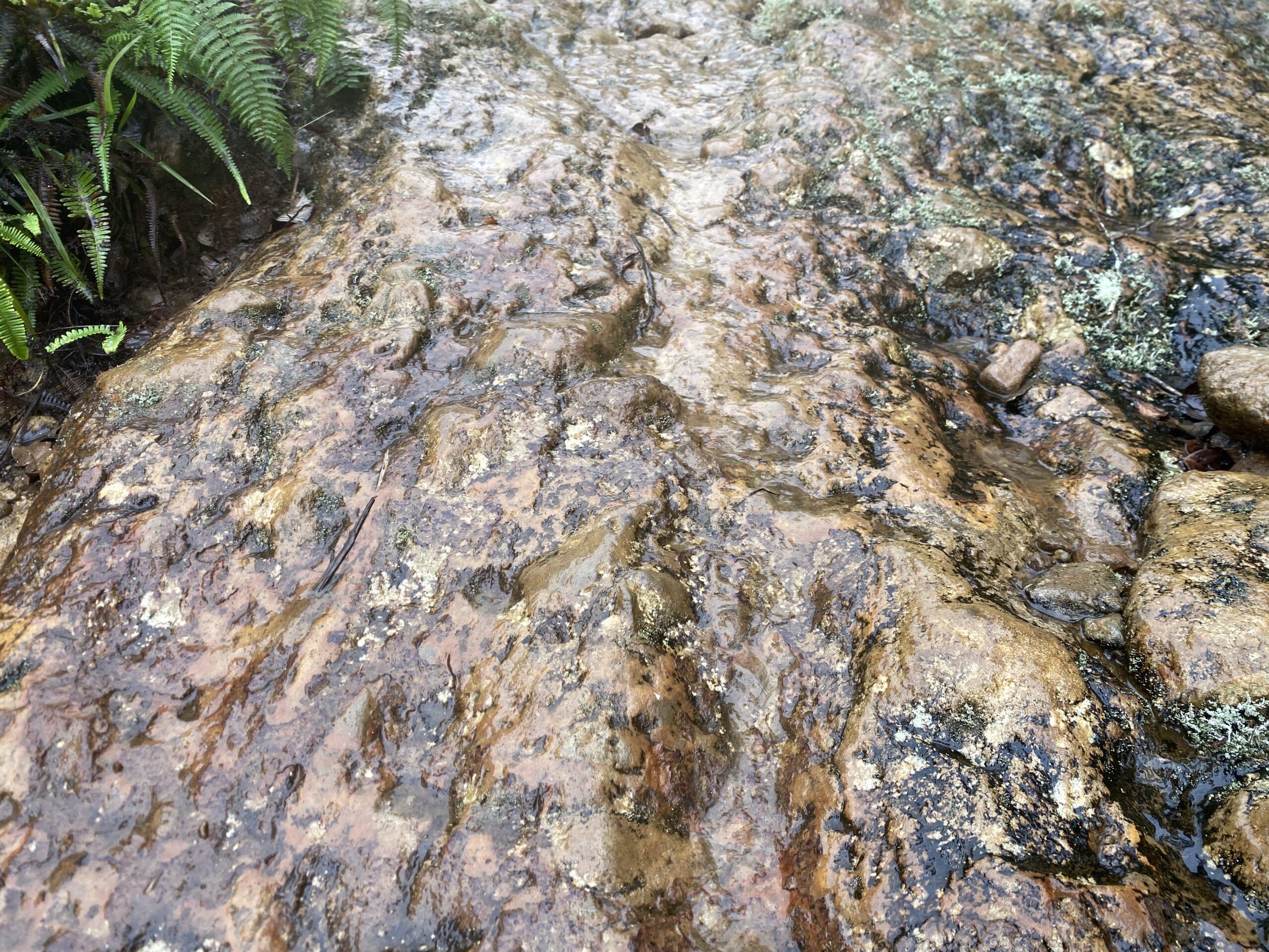 キタングラッド山　登山　