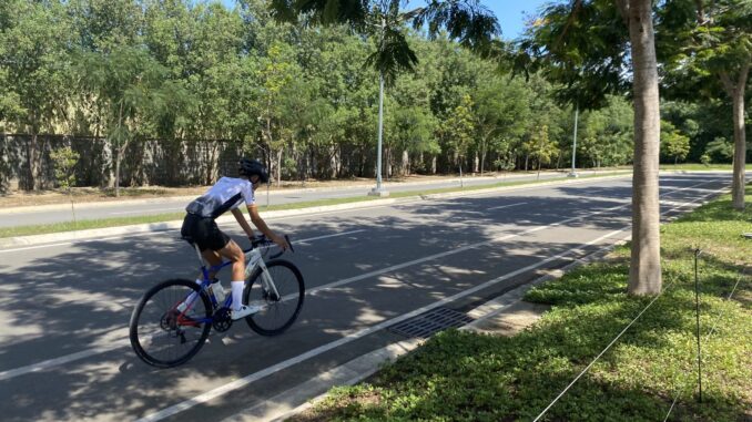 Azuela　ランニングスポット