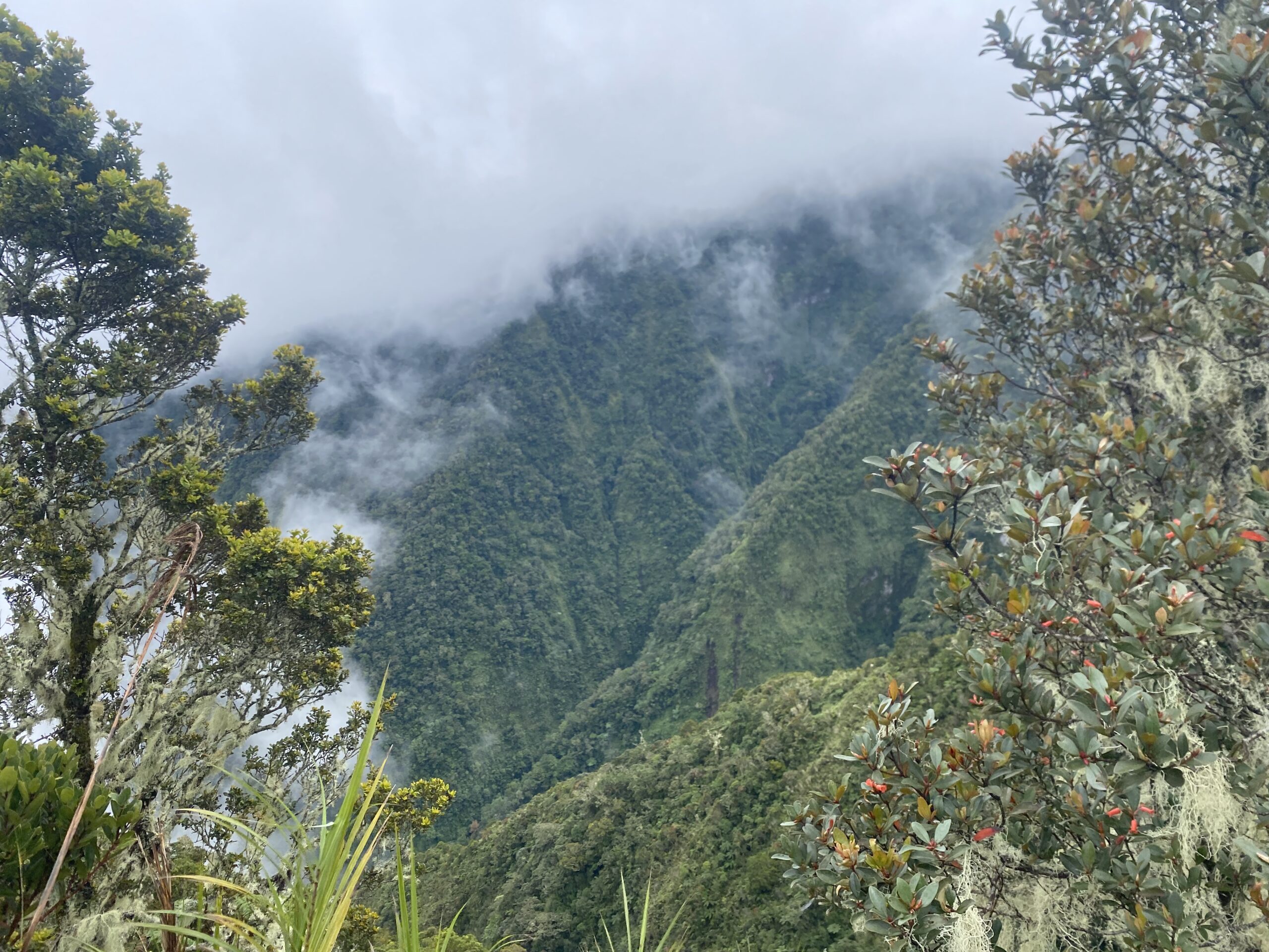 キタングラッド山　登山　景色