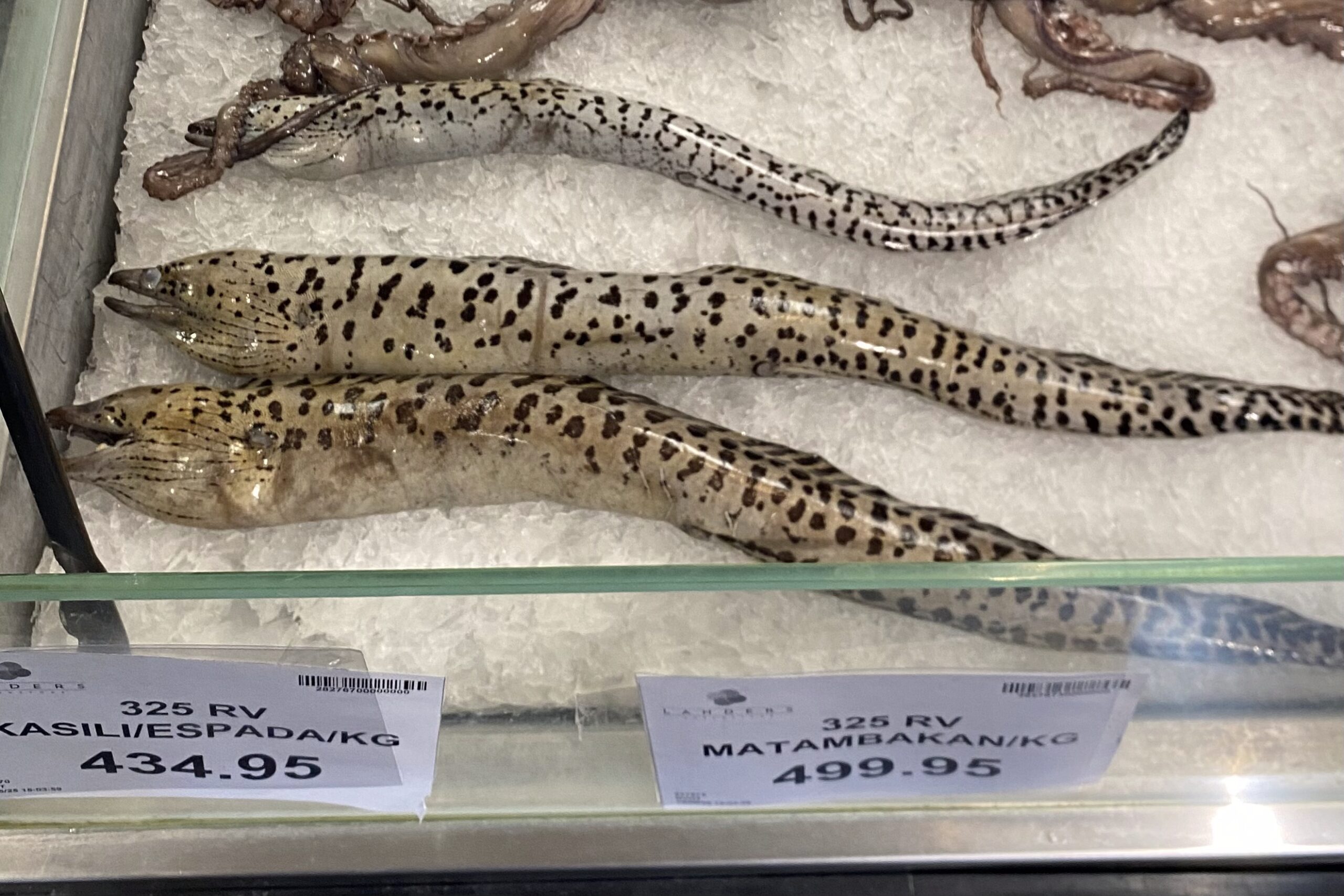 スーパー ウツボ