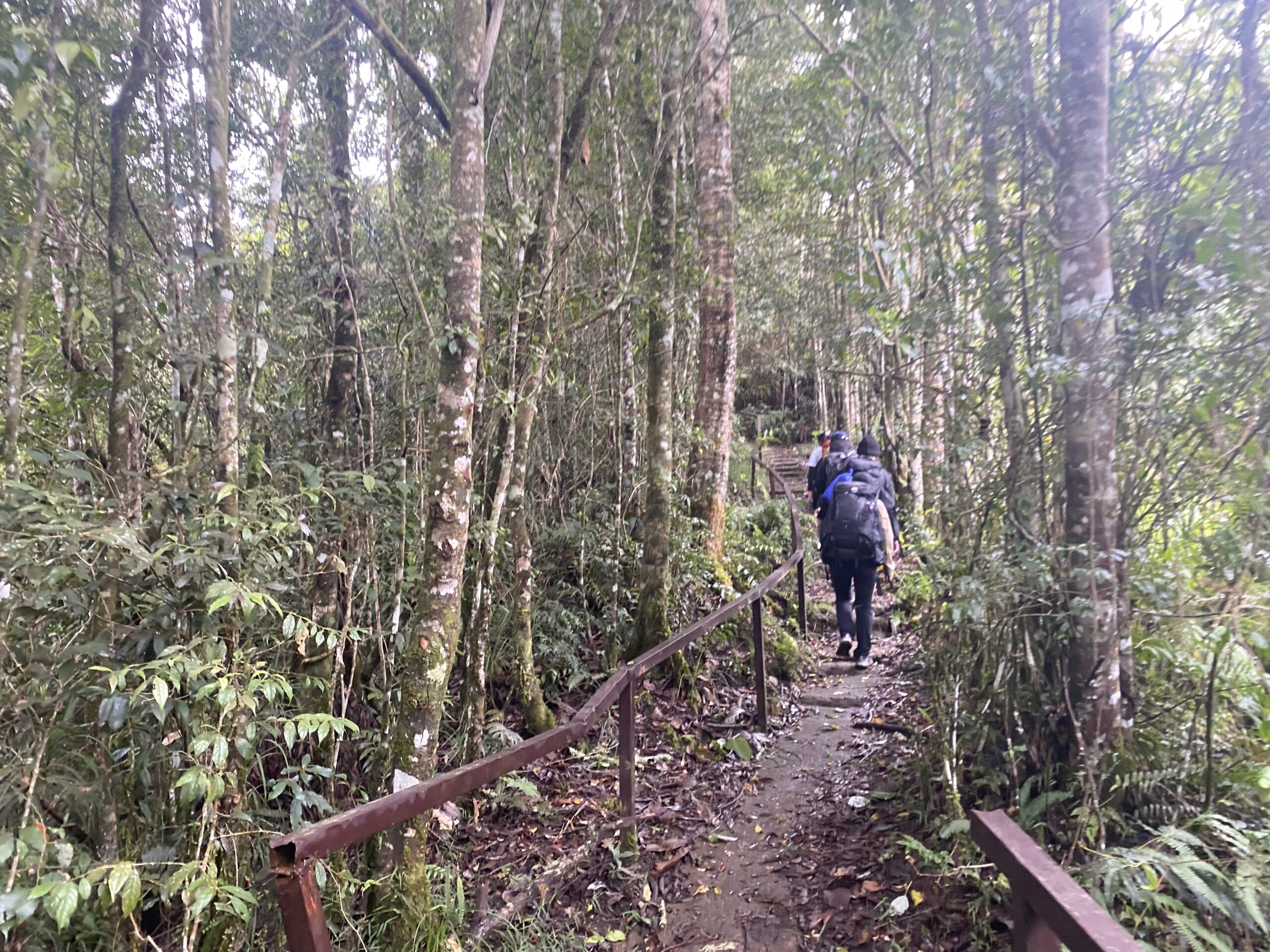 キタングラッド山　山道