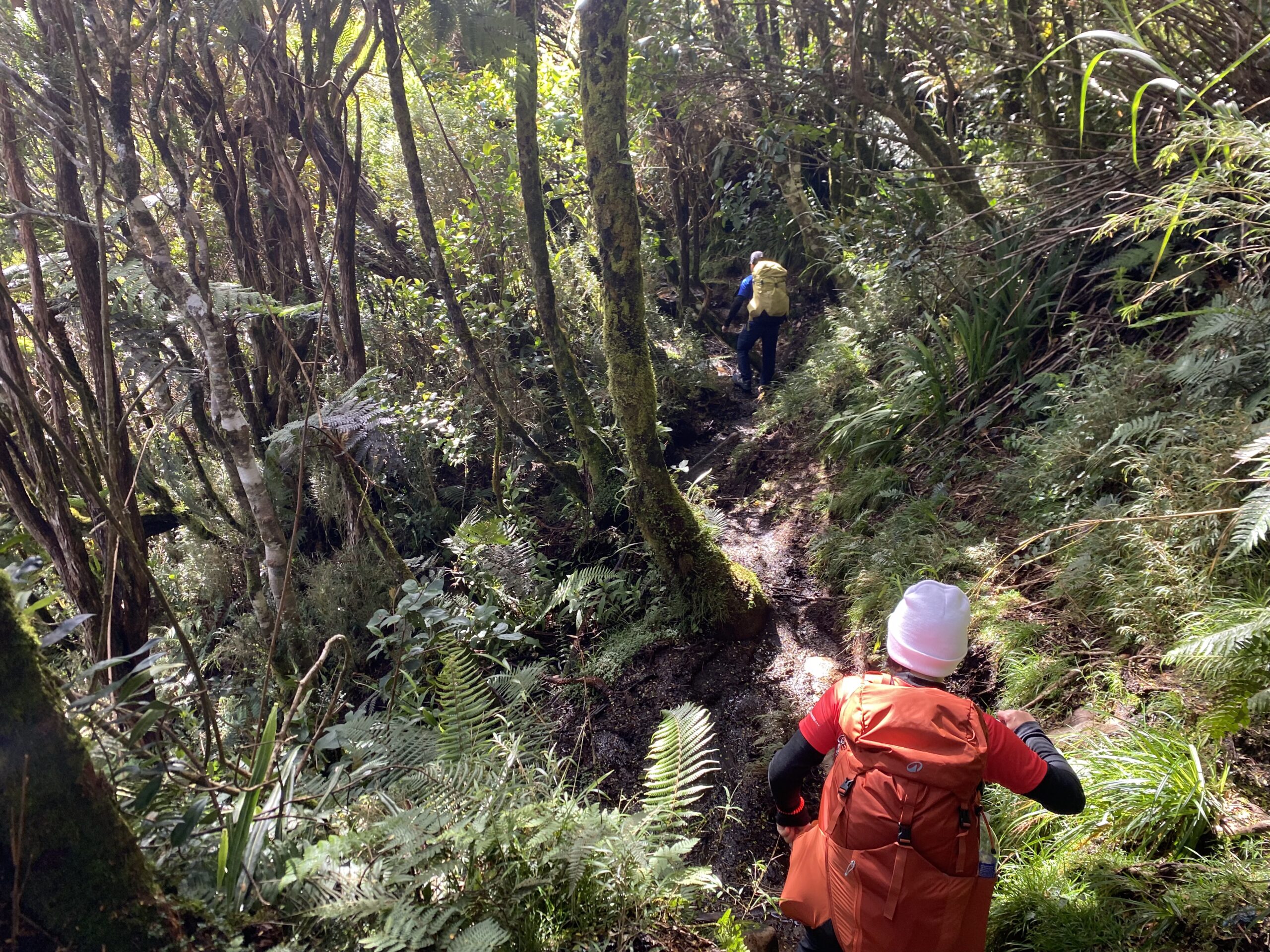 キタングラッド山 登山 下山