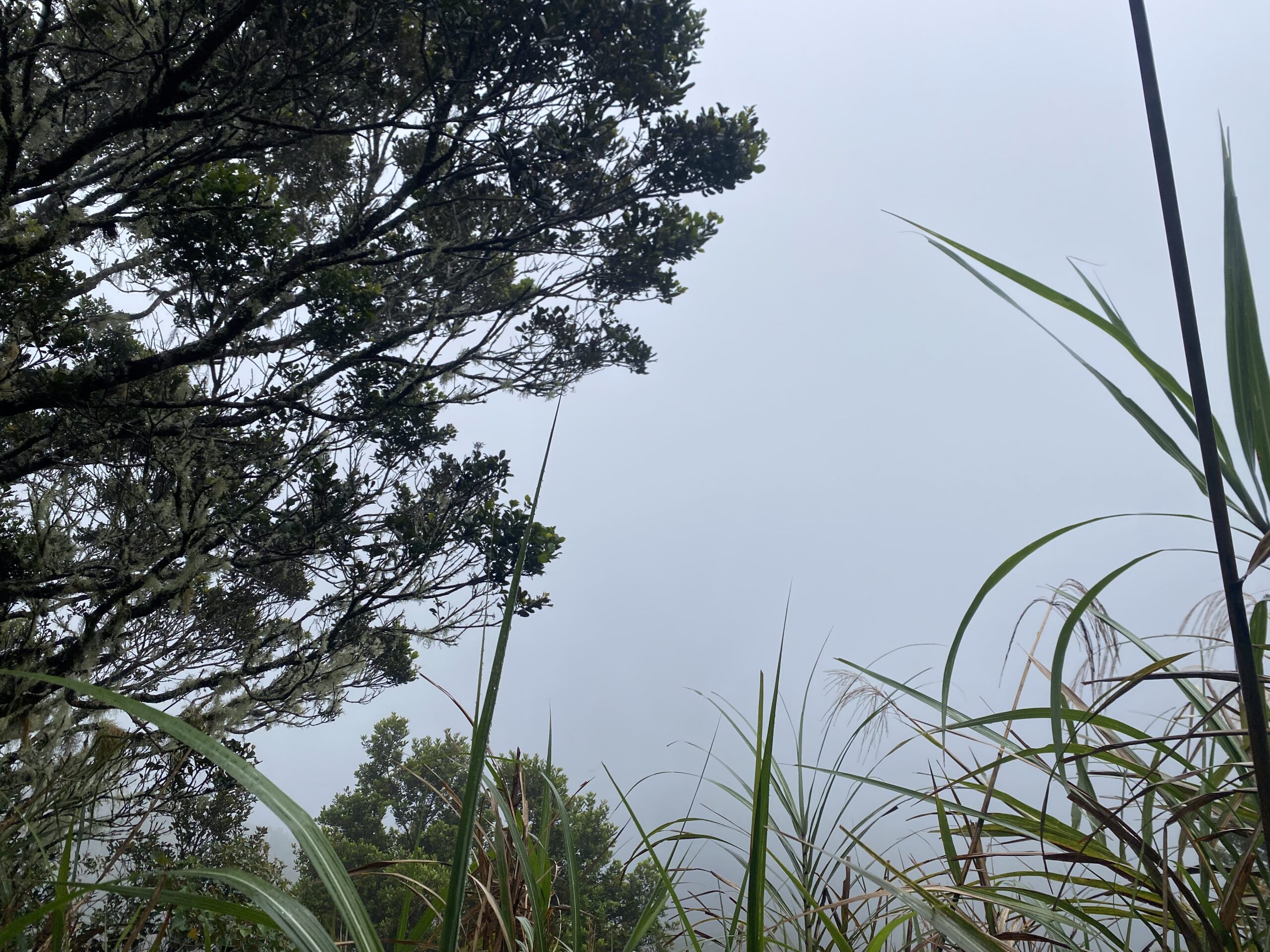 キタングラッド山　登山　景色