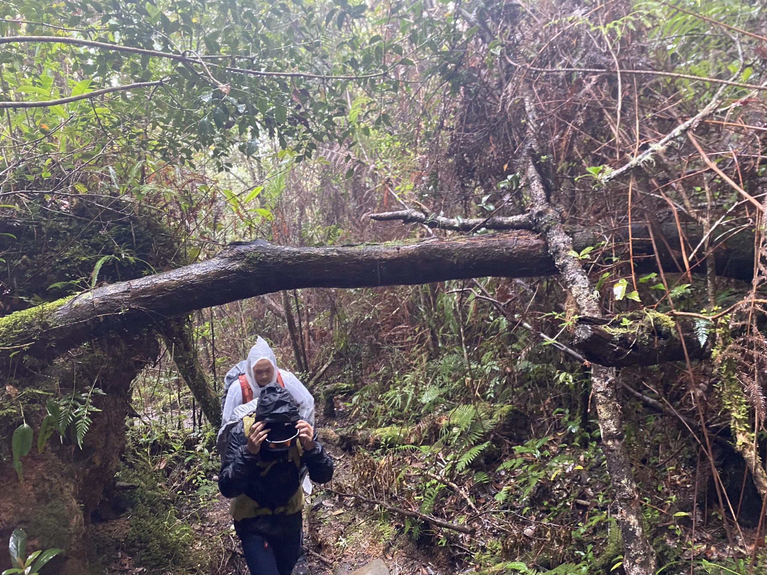 キタングラッド山　登山