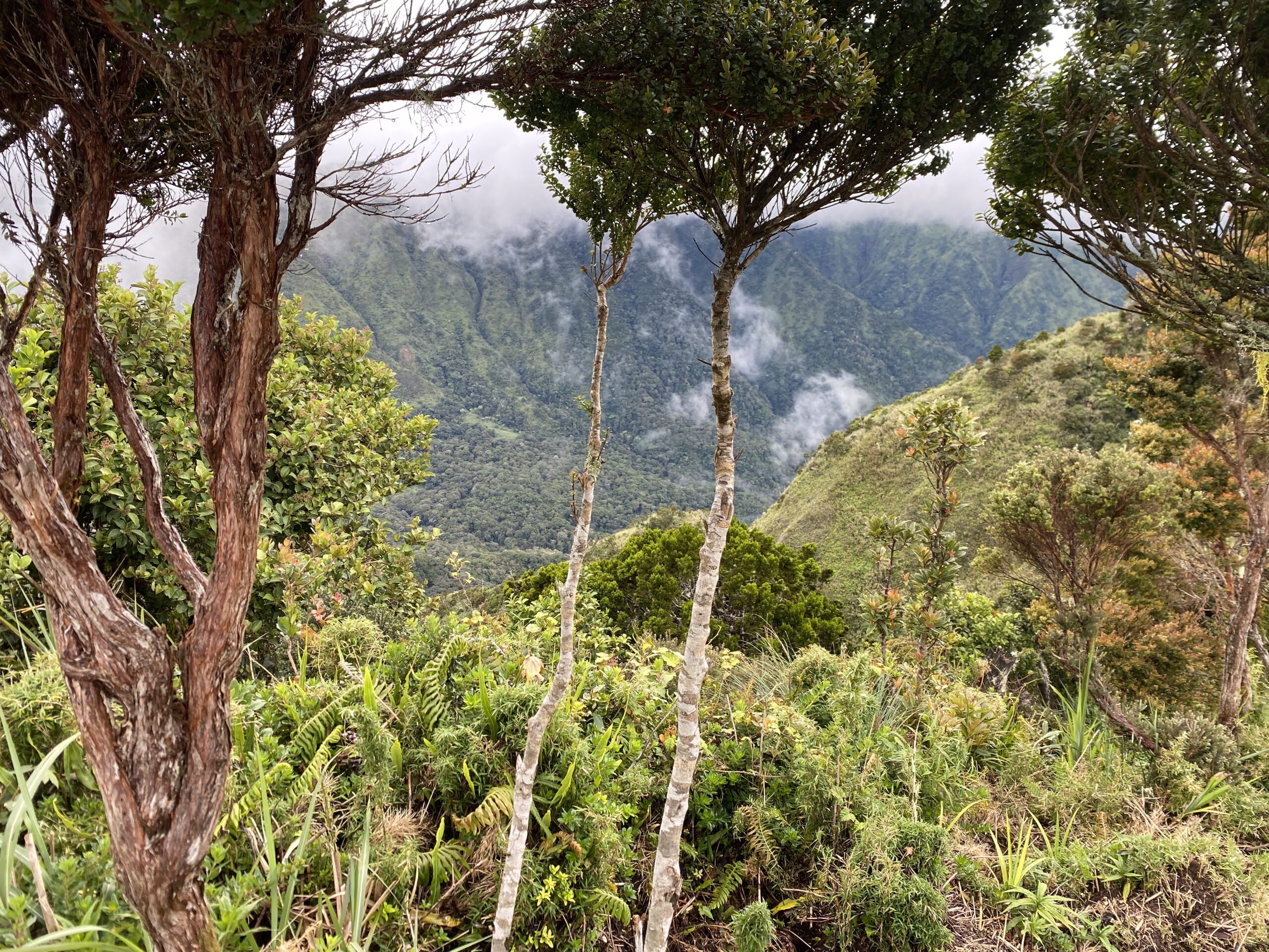 キタングラッド山　登山　景色