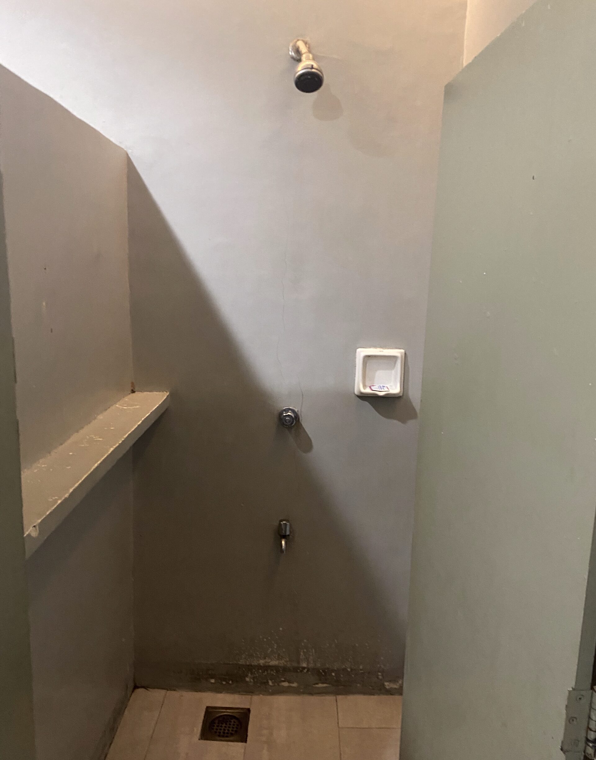 Elevation Fitness ジム特集