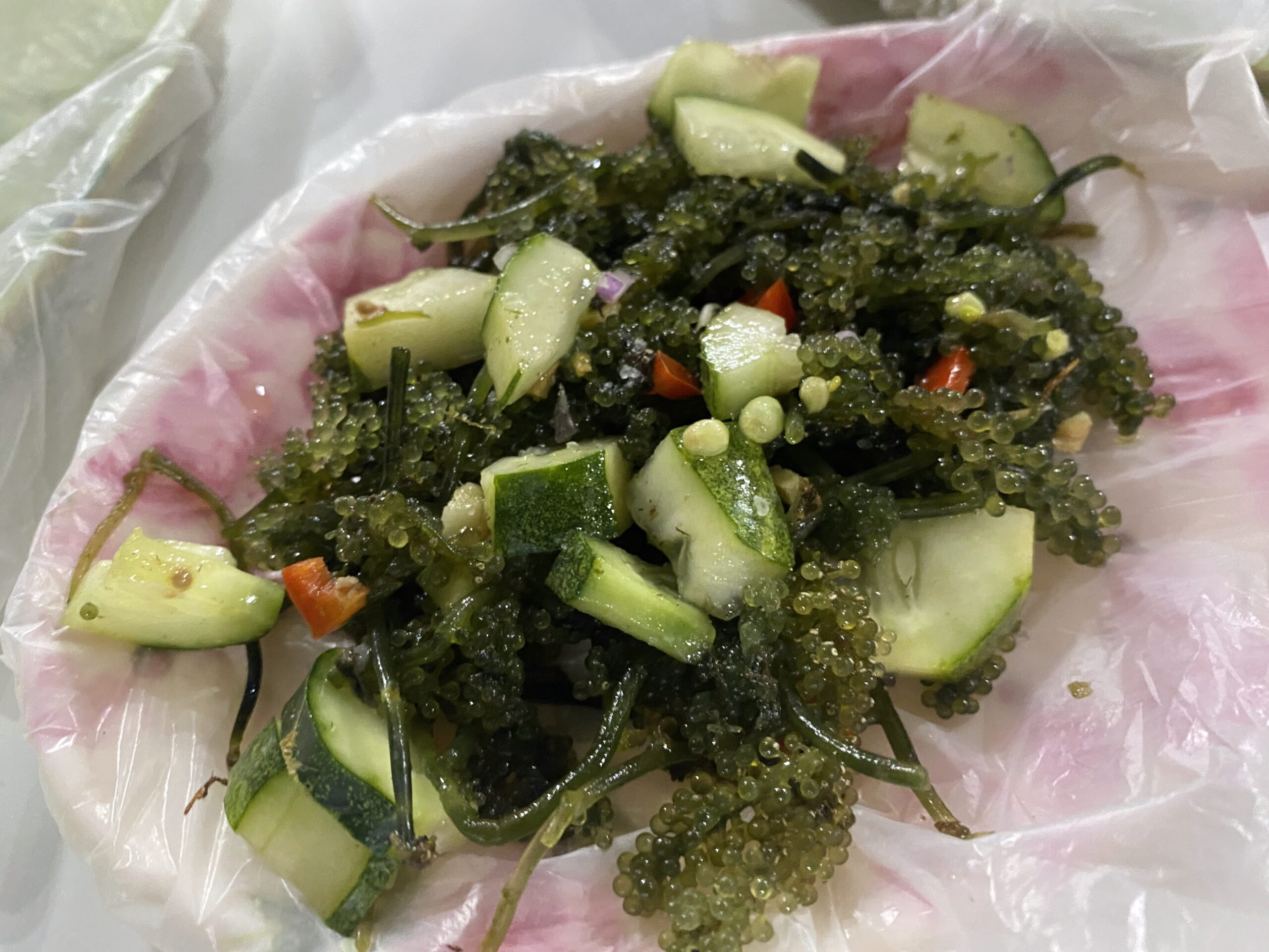 ダバオの魚図鑑 海藻 海ぶどう