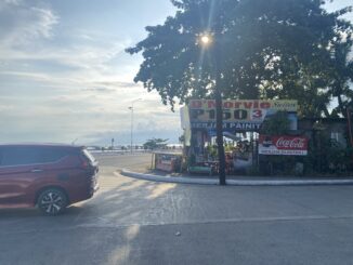 Coastal Road ランニングスポット