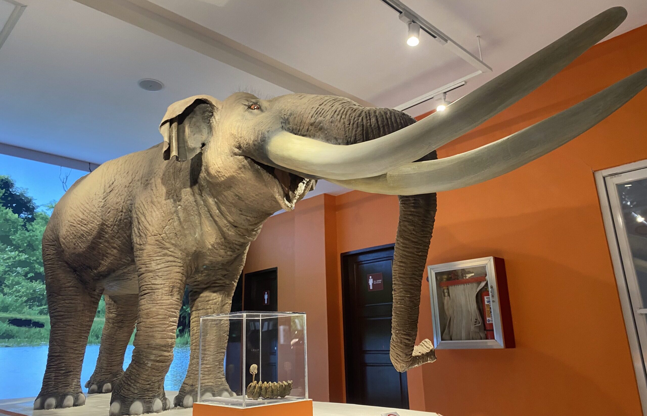 National Museum of the Philippines - Davao　国立博物館