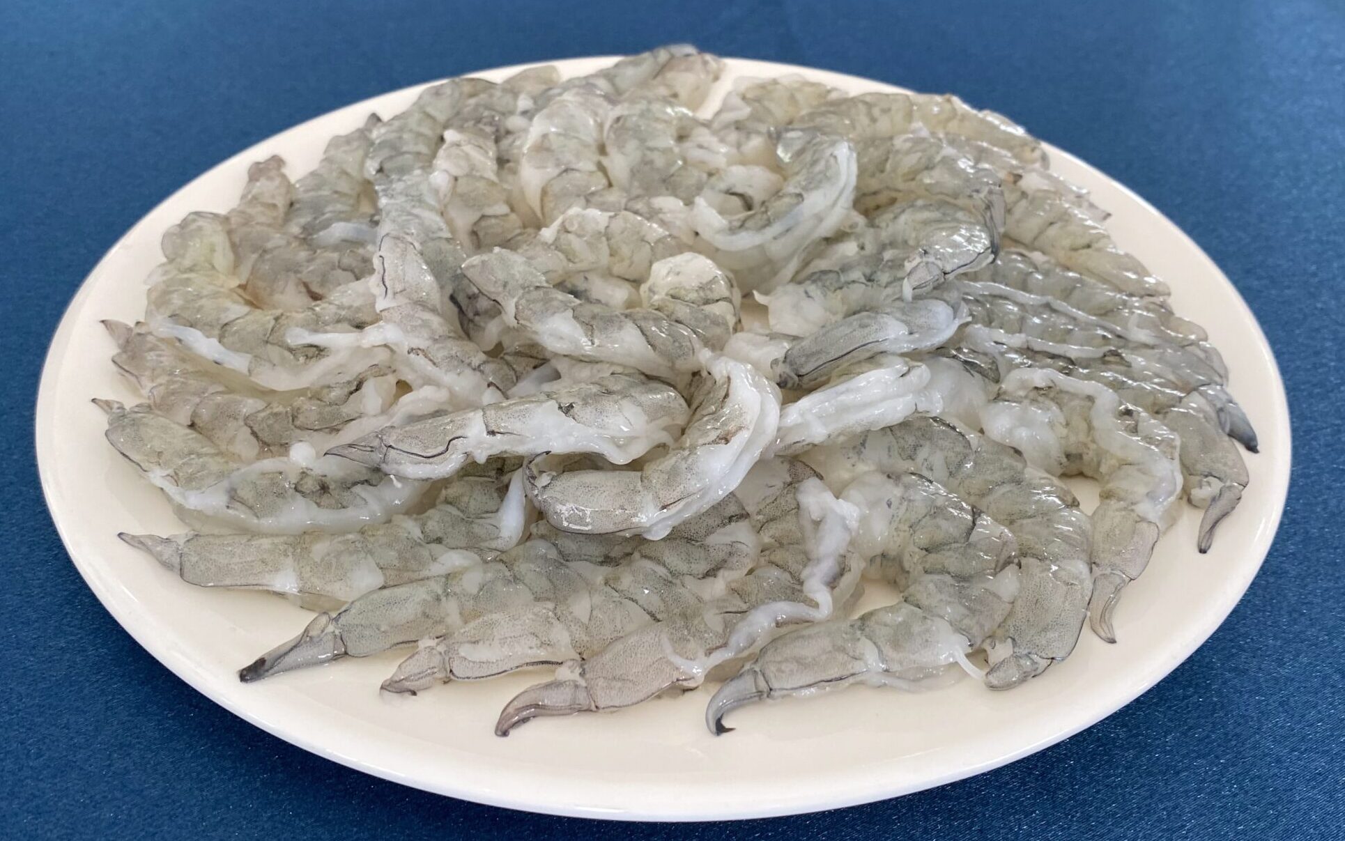 エビの陸上養殖事業