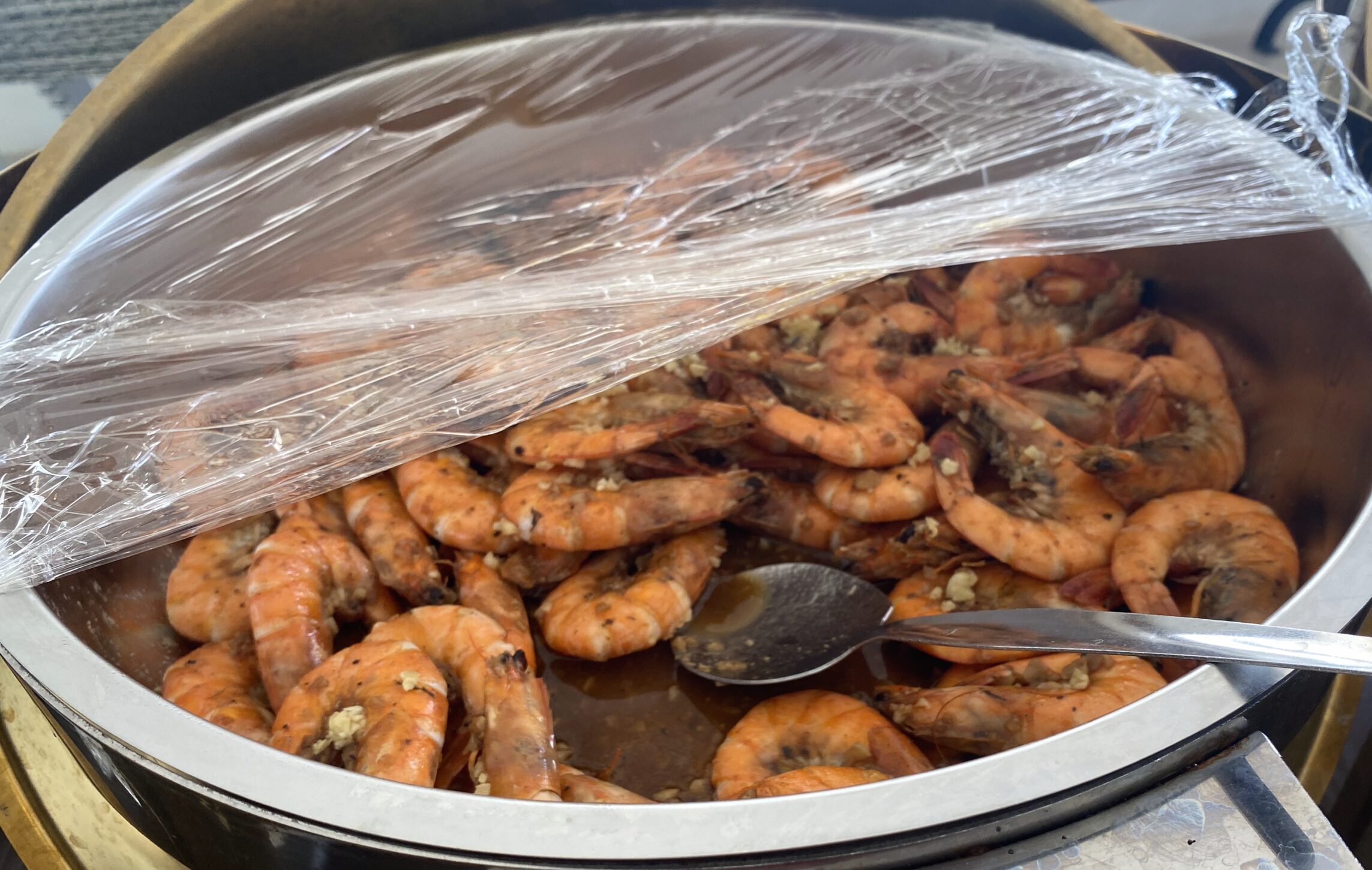 エビの陸上養殖事業