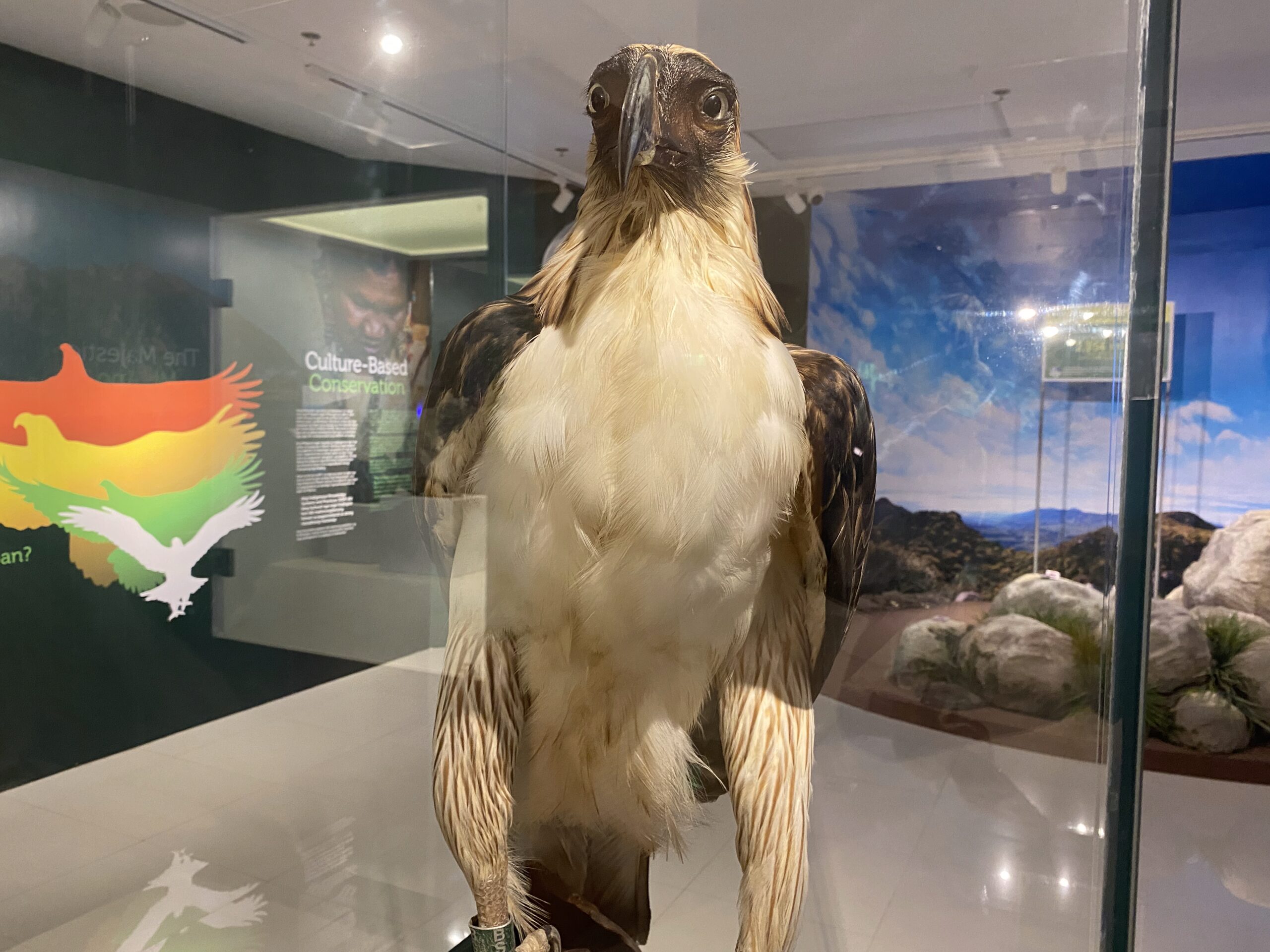 National Museum of the Philippines - Davao　国立博物館