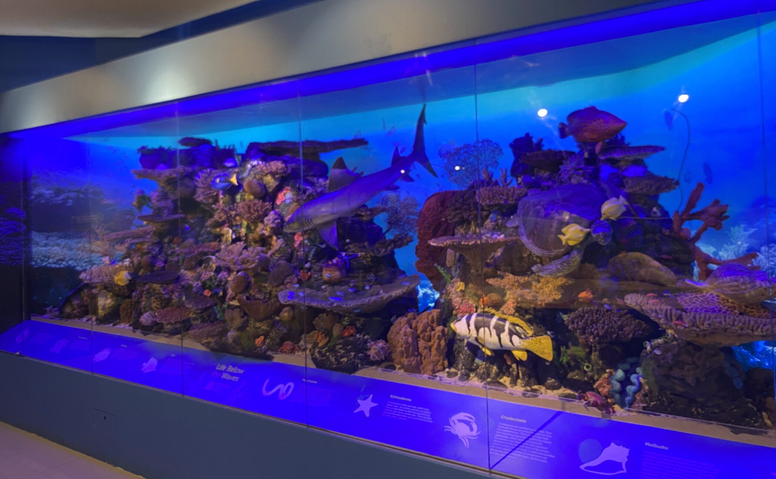 National Museum of the Philippines - Davao　国立博物館