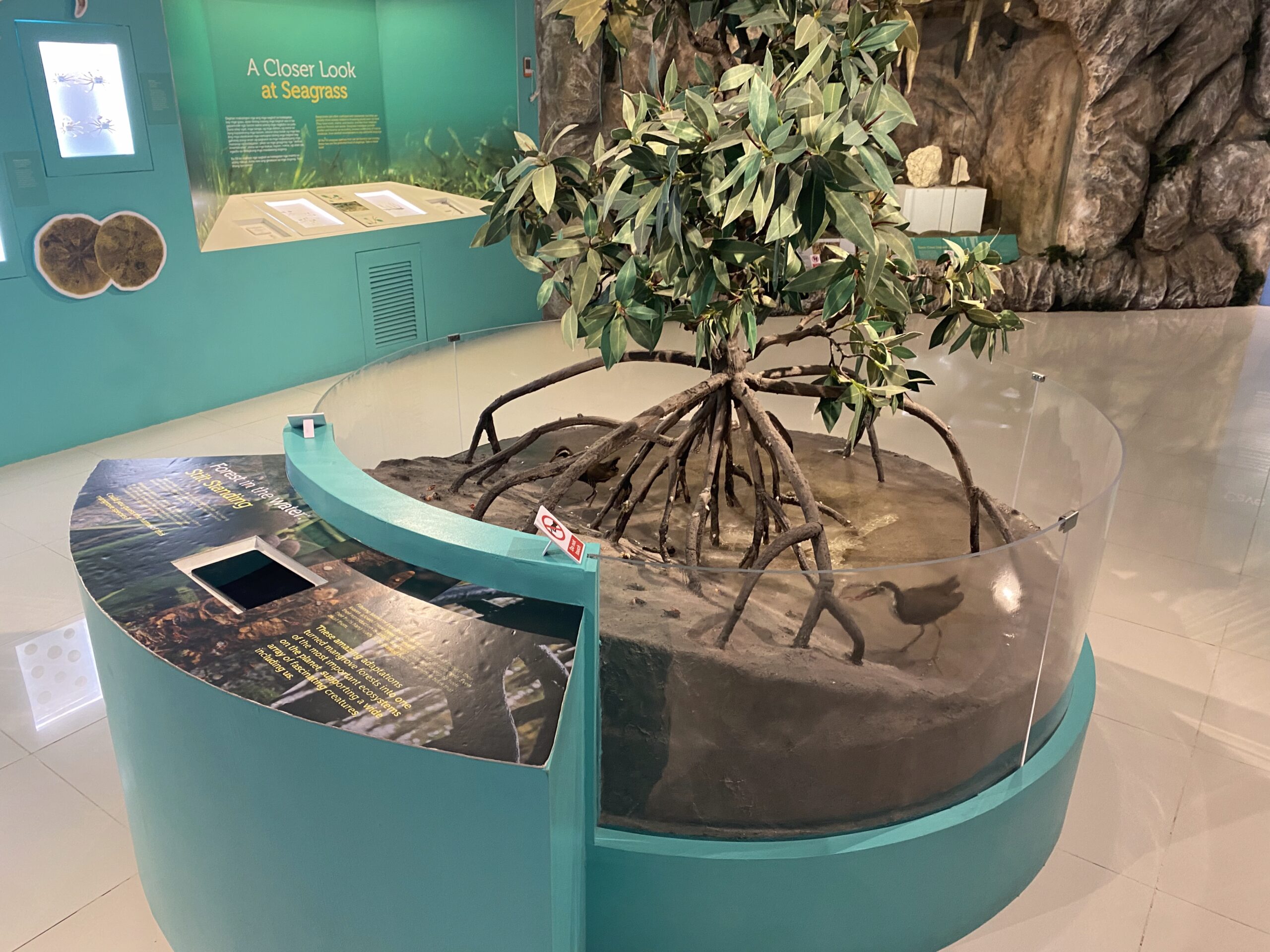 National Museum of the Philippines - Davao　国立博物館