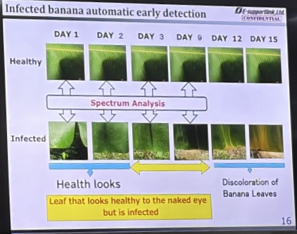 ドローンとAIを活用したバナナの個体数カウントおよび早期病害検出プロジェクト
