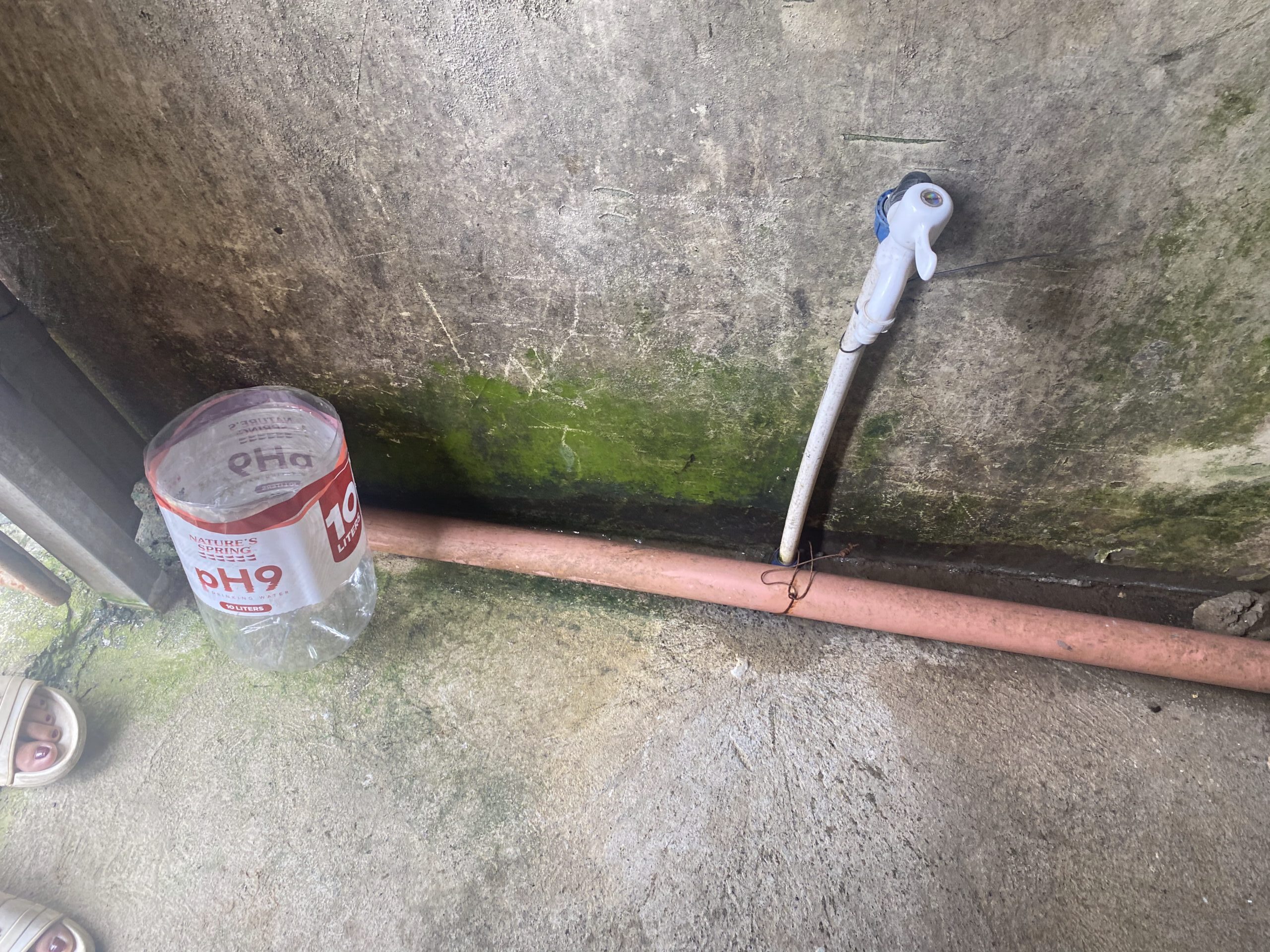 家の借り方　賃貸　一般住宅