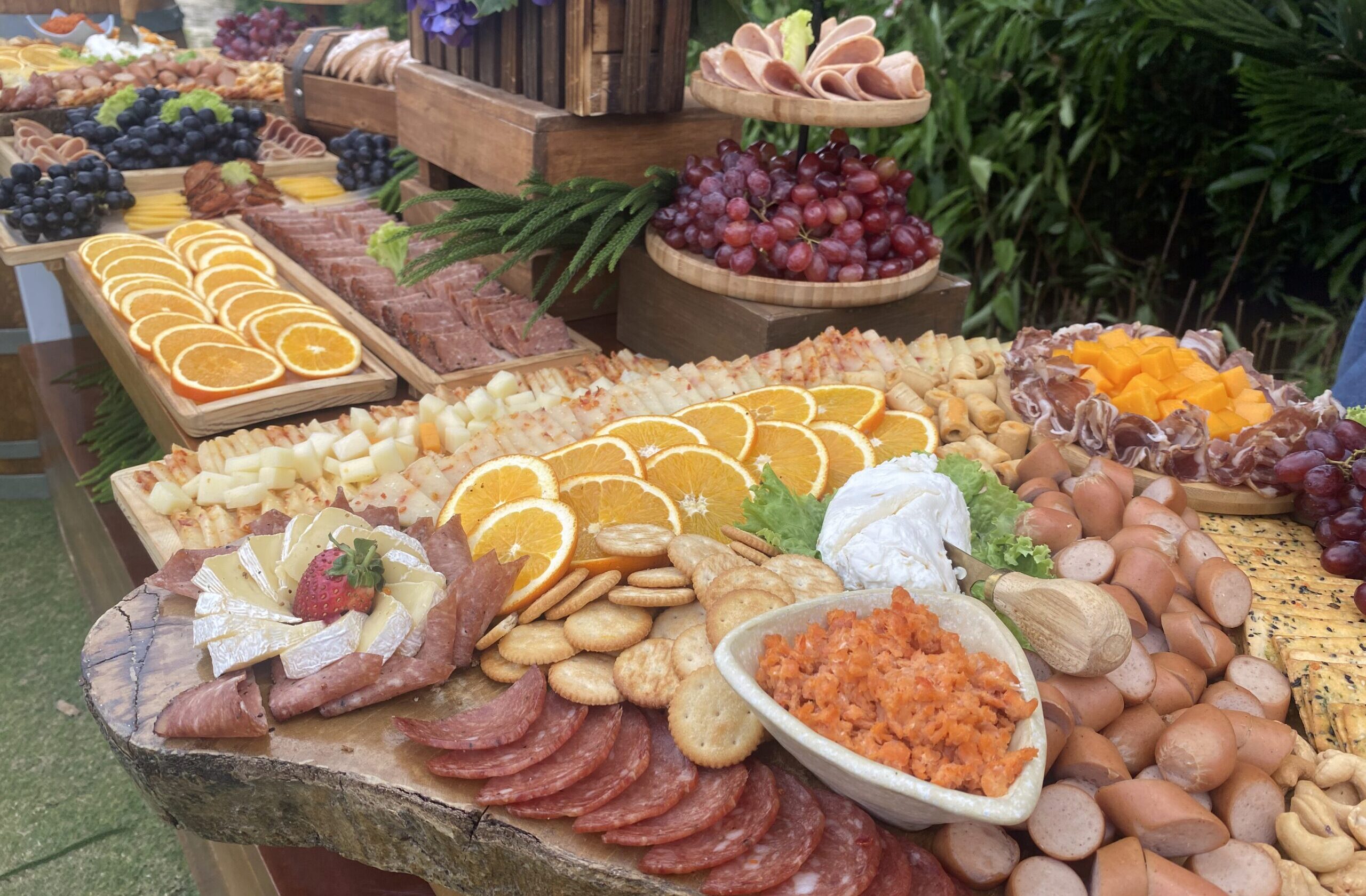 ブドウ園　ワイン　収穫祭