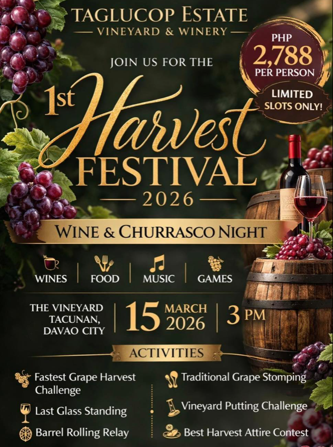 ブドウ園　ワイン　収穫祭