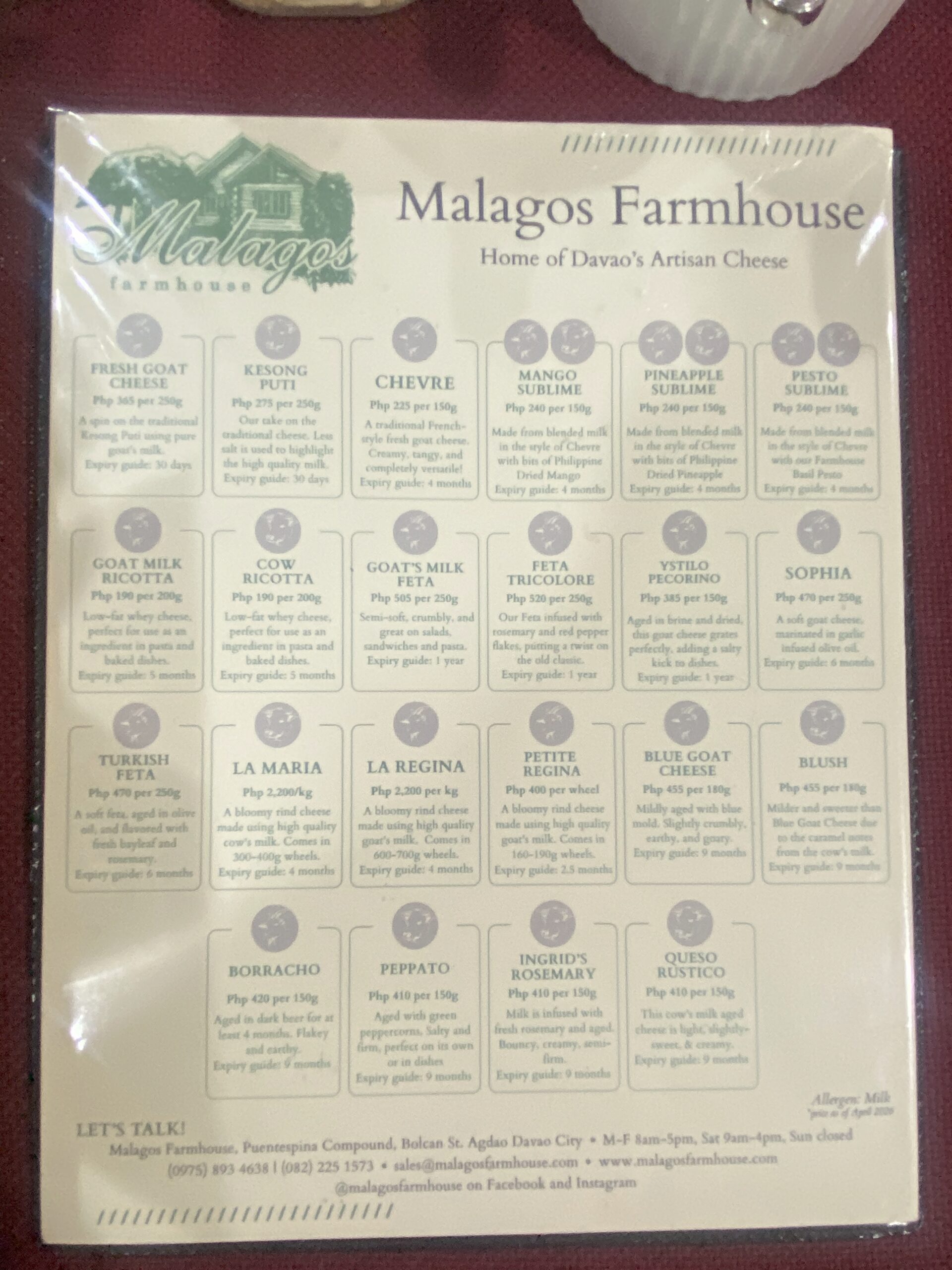 チョコレート　お土産　カカオ