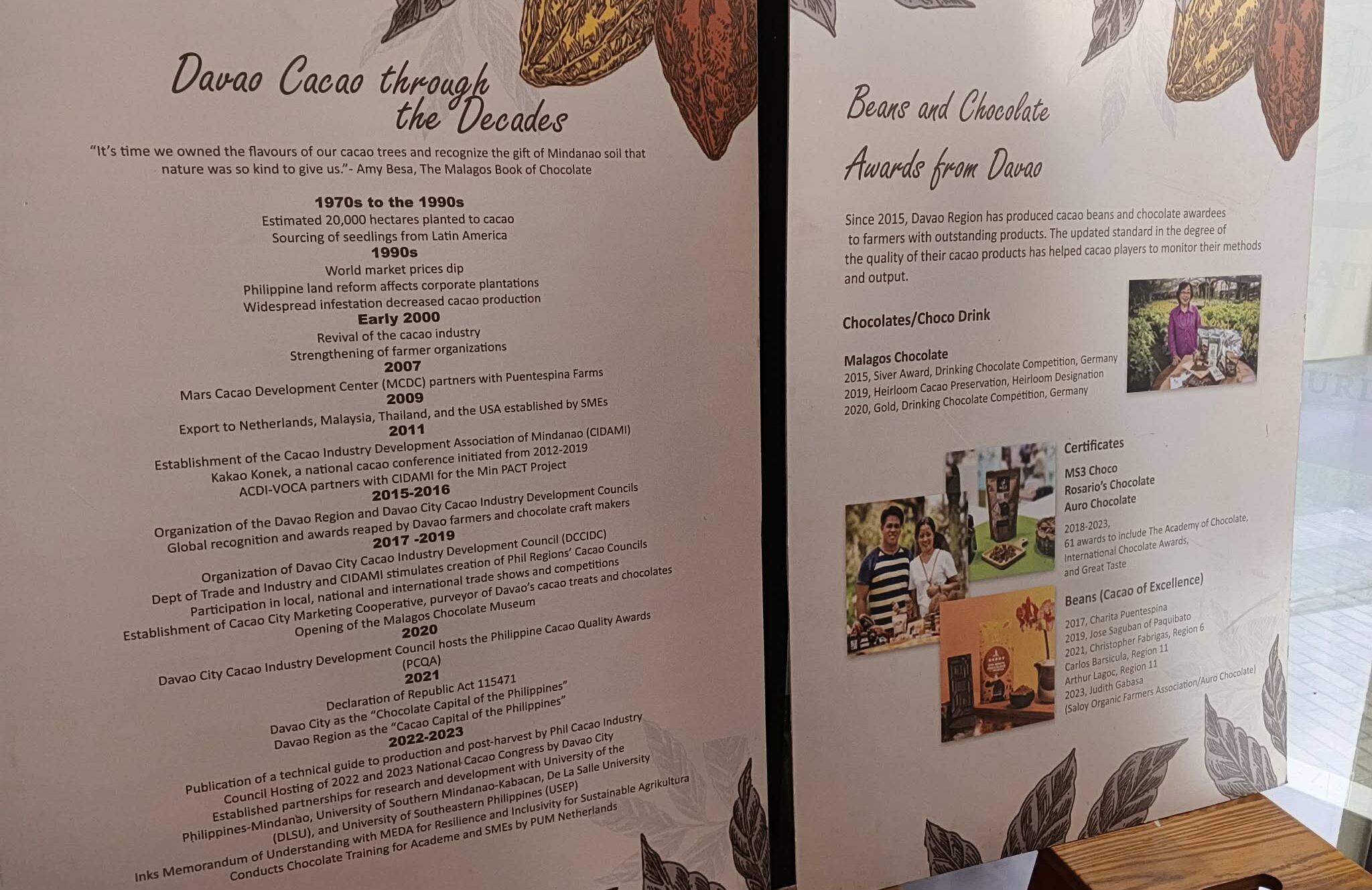 チョコレート　お土産　カカオ