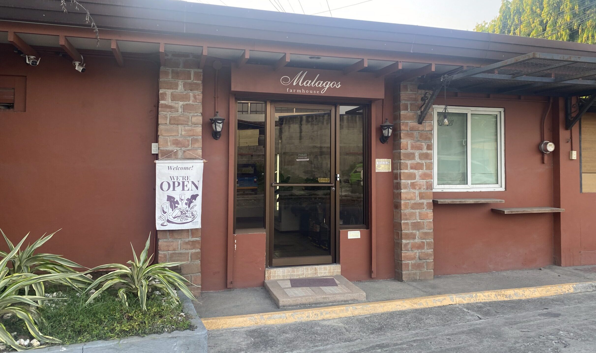 チョコレート　お土産　カカオ